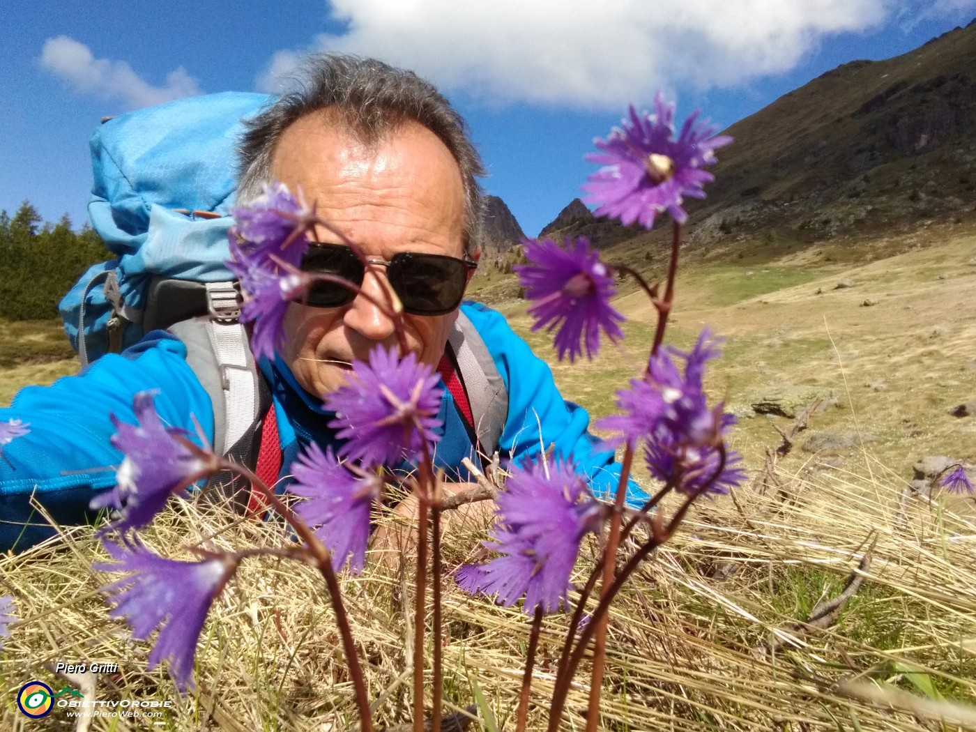 01 Fioriture di soldanelle alpine al Monte Campo (1870 m).jpg